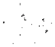 Skeleton 3