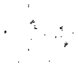 Skeleton 2